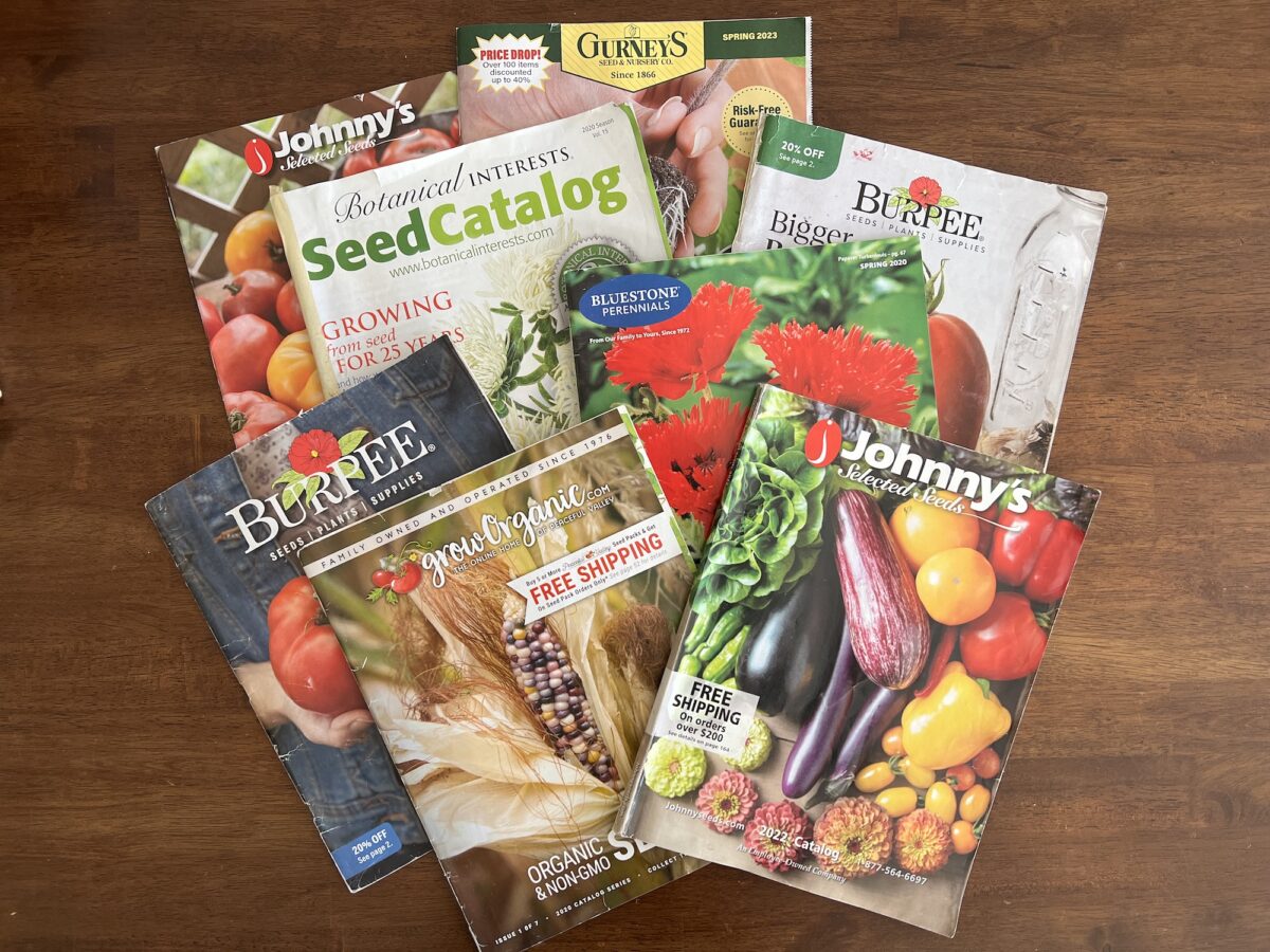 Seed Catalogs as a Learning Tool